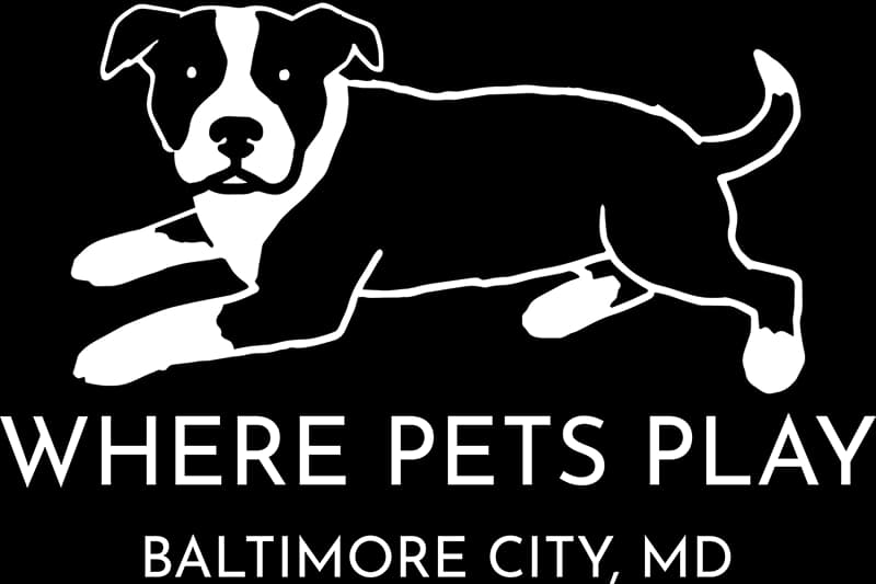 Pet care site built for Baltimore trust and local service demand